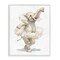 Stupell Industries Ballet Elephant Tutu Framed Giclee, design by Ziwei Li